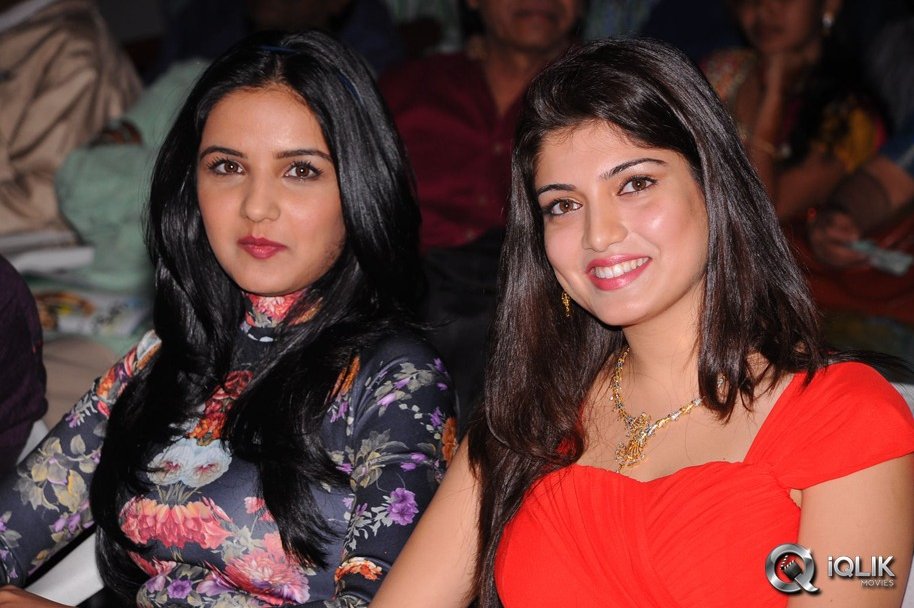 Dilunnodu-Movie-Audio-Launch